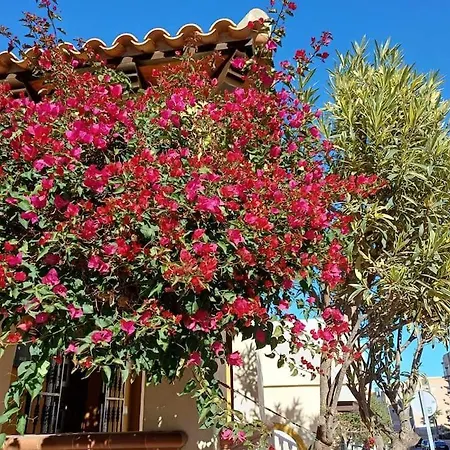 Apartman Casa Editha